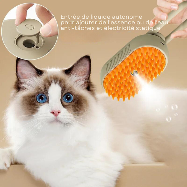 Brosse à Vapeur 3 en 1 pour Chat