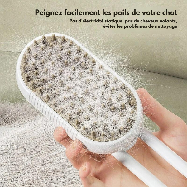 Brosse à Vapeur 3 en 1 pour Chat